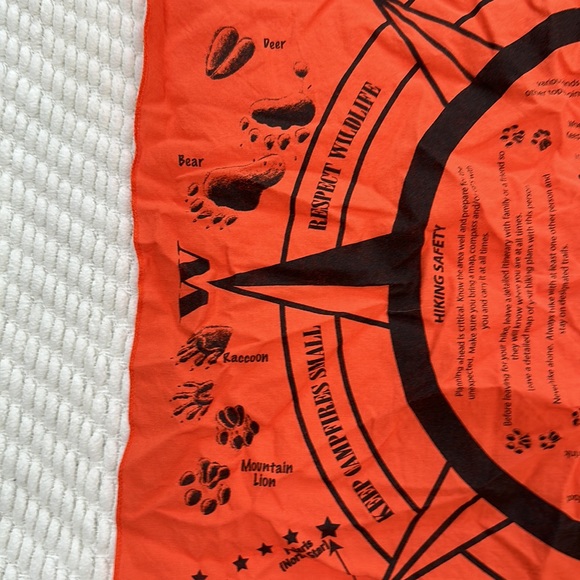 Set of four bandanas - two Disney, one Thomas the Train, one Survival Tips - Picture 13 of 16